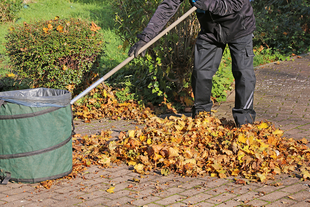 Hausmeisterservice Ebersberg Bauer Gartenarbeiten